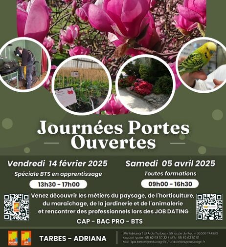 Affiche JPO 2025.jpg